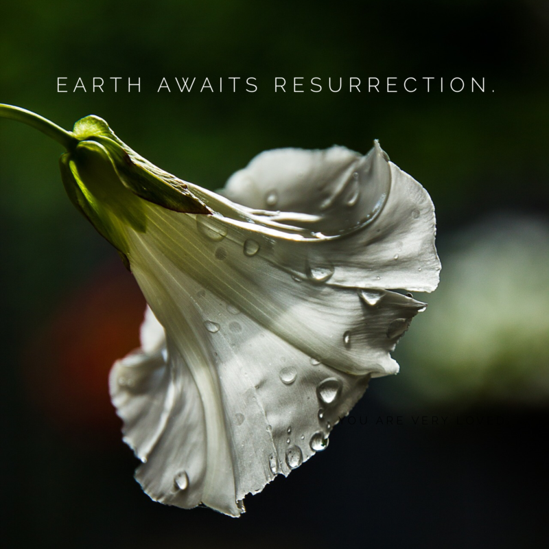 Earth Awaits Resurrection