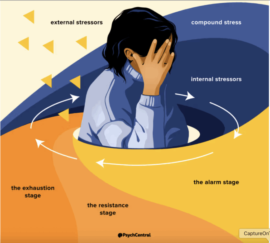 The stress cycle by Bailey Mariner